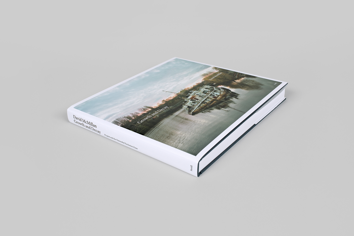David McMillan: Growth and Decay - Exhibition, artist´s talk