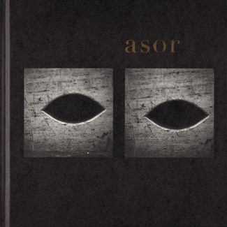 Asor. Limited Edition Sunflowers (Little Steidl)