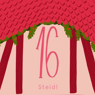 steidl advent calendar 16