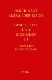 Werkausgabe Bd. 6.3 / Geschichte und Eigensinn III: Gewalt des Zusammenhangs