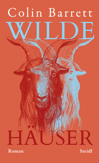 Wilde Häuser