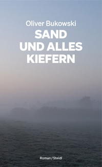 Sand und alles Kiefern