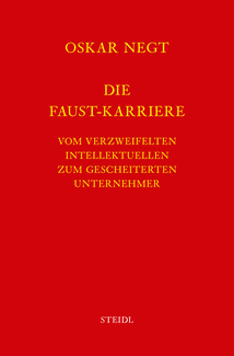 Werkausgabe Bd. 14 / Die Faust-Karriere